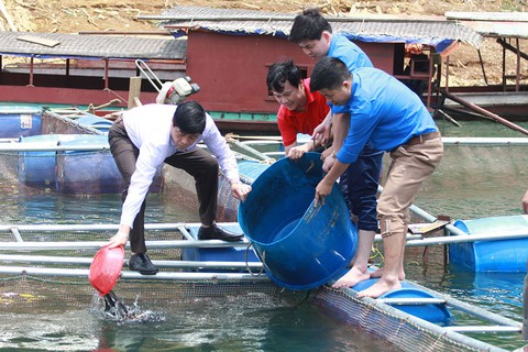 Chúng tôi có nghề sinh nhai rồi - Ảnh 1. Chúng tôi có nghề sinh nhai rồi - Ảnh 1.