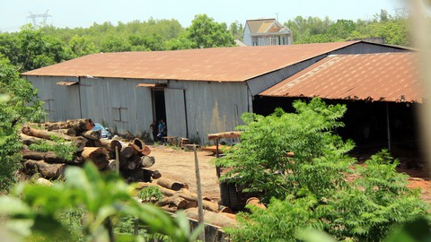 Cả ngàn cây gỗ quý trong kho xưởng của trùm Phượng râu - Ảnh 4. Cả ngàn cây gỗ quý trong kho xưởng của trùm Phượng râu - Ảnh 4.