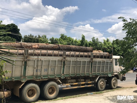 Xe gỗ Phượng râu bon bon trên đường, địa phương không biết? - Ảnh 3. Xe gỗ Phượng râu bon bon trên đường, địa phương không biết? - Ảnh 3.