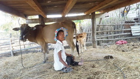 Con me và hi vọng của Nay Khoen - Ảnh 1. Con me và hi vọng của Nay Khoen - Ảnh 1.