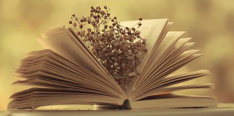 Điều còn lại là tình người, đúng không người bạn vắn số của tôi? - Ảnh 1. Điều còn lại là tình người, đúng không người bạn vắn số của tôi? - Ảnh 1.