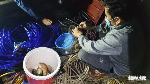 Gian nan nghề lặn tôm hùm - Ảnh 6. Gian nan nghề lặn tôm hùm - Ảnh 6.