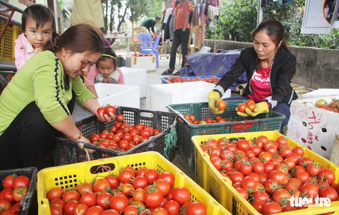Lấy gì để 5 năm sau nông dân thu nhập 66 triệu đồng mỗi năm? - Ảnh 1. Lấy gì để 5 năm sau nông dân thu nhập 66 triệu đồng mỗi năm? - Ảnh 1.