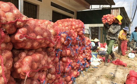 Mỗi nông dân sẽ có thu nhập 66 triệu đồng/năm - Ảnh 1. Mỗi nông dân sẽ có thu nhập 66 triệu đồng/năm - Ảnh 1.