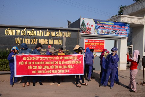 Nợ lương công nhân, công ty đòi trả bằng... gạch ngói giá đắt - Ảnh 1. Nợ lương công nhân, công ty đòi trả bằng... gạch ngói giá đắt - Ảnh 1.