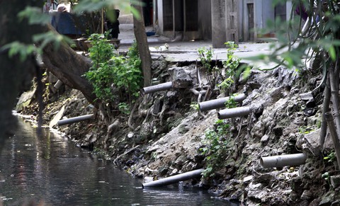 Dân sống khổ bên sông Cầu Đá đổi màu đen đặc - Ảnh 3. Dân sống khổ bên sông Cầu Đá đổi màu đen đặc - Ảnh 3.