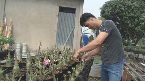 Độc đáo sứ chân dài, giá bán 20 triệu đồng - Ảnh 2. Độc đáo sứ chân dài, giá bán 20 triệu đồng - Ảnh 2.