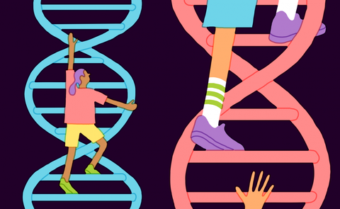 Vì sao không nên kiểm tra IQ bằng xét nghiệm gene - Ảnh 1. Vì sao không nên kiểm tra IQ bằng xét nghiệm gene - Ảnh 1.