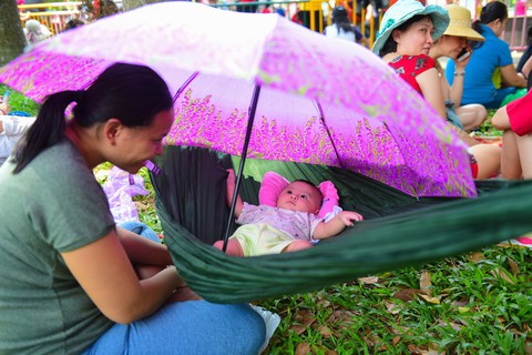 Người Sài Gòn mắc võng trốn nắng ở Thảo cầm viên - Ảnh 11. Người Sài Gòn mắc võng trốn nắng ở Thảo cầm viên - Ảnh 11.