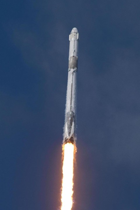 SpaceX phóng tên lửa mang theo… tinh trùng lên ISS - Ảnh 2. SpaceX phóng tên lửa mang theo… tinh trùng lên ISS - Ảnh 2.