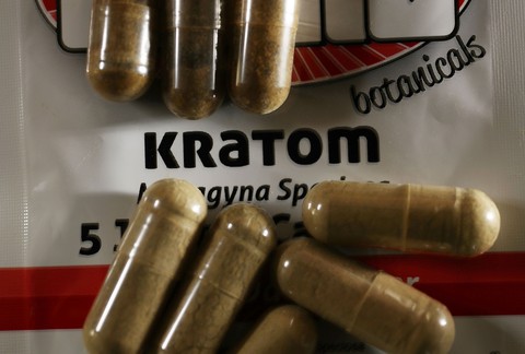Thực phẩm thảo dược Kratom nhiễm khuẩn salmonella - Ảnh 1. Thực phẩm thảo dược Kratom nhiễm khuẩn salmonella - Ảnh 1.