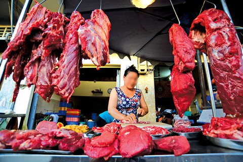 Bò ngoại làm khó bò nội - Ảnh 1. Bò ngoại làm khó bò nội - Ảnh 1.