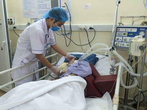 Nguy kịch tính mạng vì tự đắp lá chữa mụn nhọt - Ảnh 1. Nguy kịch tính mạng vì tự đắp lá chữa mụn nhọt - Ảnh 1.