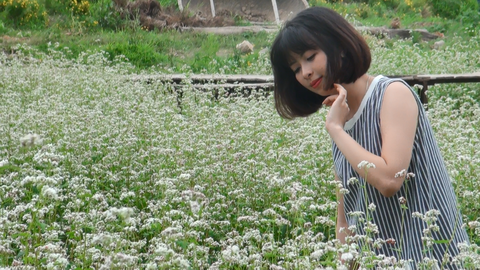 Mê cung khổng lồ, hoa tam giác mạch hút giới trẻ thủ đô - Ảnh 7. Mê cung khổng lồ, hoa tam giác mạch hút giới trẻ thủ đô - Ảnh 7.