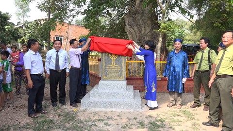 An Giang: 3 cây bằng lăng hơn 300 tuổi thành Cây di sản Việt Nam - Ảnh 1. An Giang: 3 cây bằng lăng hơn 300 tuổi thành Cây di sản Việt Nam - Ảnh 1.