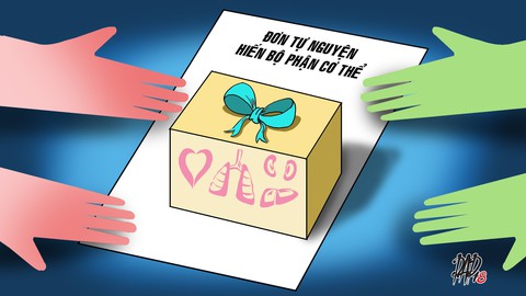 Nét bút của phép lạ - Ảnh 1. Nét bút của phép lạ - Ảnh 1.