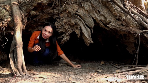 An Giang: 3 cây bằng lăng hơn 300 tuổi thành Cây di sản Việt Nam - Ảnh 3. An Giang: 3 cây bằng lăng hơn 300 tuổi thành Cây di sản Việt Nam - Ảnh 3.