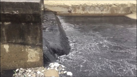 Vì sao nước thối tràn ra bãi tắm đẹp nhất hành tinh? - Ảnh 1. Vì sao nước thối tràn ra bãi tắm đẹp nhất hành tinh? - Ảnh 1.