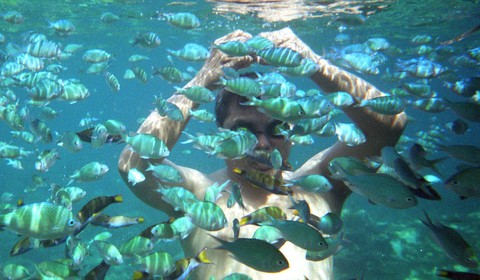 Philippines dọn đảo Boracay chờ du khách Trung Quốc? - Ảnh 2. Philippines dọn đảo Boracay chờ du khách Trung Quốc? - Ảnh 2.