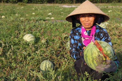 Nông dân hỏi Thủ tướng chuyện được mùa mất giá - Ảnh 1. Nông dân hỏi Thủ tướng chuyện được mùa mất giá - Ảnh 1.