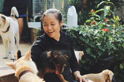 Cô gái 9X làm mẹ của hơn 100 chó mèo hoang - Ảnh 1. Cô gái 9X làm mẹ của hơn 100 chó mèo hoang - Ảnh 1.