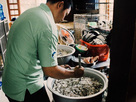 Cô gái 9X làm mẹ của hơn 100 chó mèo hoang - Ảnh 3. Cô gái 9X làm mẹ của hơn 100 chó mèo hoang - Ảnh 3.