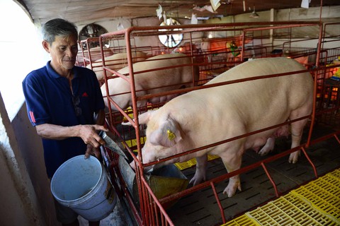 Nông dân hỏi Thủ tướng chuyện được mùa mất giá - Ảnh 3. Nông dân hỏi Thủ tướng chuyện được mùa mất giá - Ảnh 3.