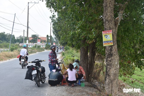 Trúng mùa, bà con Bảy Núi vui vẻ bán trâm, trường mỏi tay - Ảnh 5. Trúng mùa, bà con Bảy Núi vui vẻ bán trâm, trường mỏi tay - Ảnh 5.