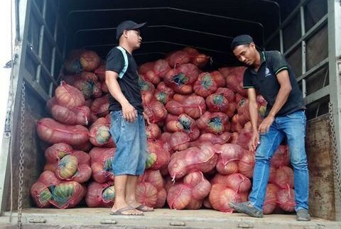 Giải cứu bí đỏ Đắk Lắk với giá 4.900 đồng/kg - Ảnh 1. Giải cứu bí đỏ Đắk Lắk với giá 4.900 đồng/kg - Ảnh 1.