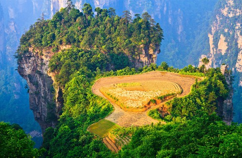 Lạc vào chốn bồng lai tiên cảnh Trương Gia Giới - Ảnh 8. Lạc vào chốn bồng lai tiên cảnh Trương Gia Giới - Ảnh 8.