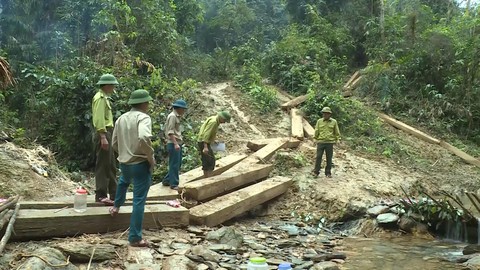5 cán bộ kiểm lâm bị kỷ luật vì để mất gỗ rừng - Ảnh 1. 5 cán bộ kiểm lâm bị kỷ luật vì để mất gỗ rừng - Ảnh 1.