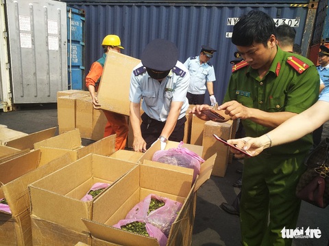 Lại phát hiện 2,5 tấn lá Khát tại cảng Hải Phòng - Ảnh 3. Lại phát hiện 2,5 tấn lá Khát tại cảng Hải Phòng - Ảnh 3.