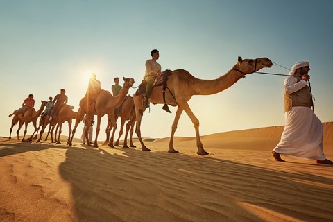 Những điều kỳ thú ở Abu Dhabi - Ảnh 6. Những điều kỳ thú ở Abu Dhabi - Ảnh 6.