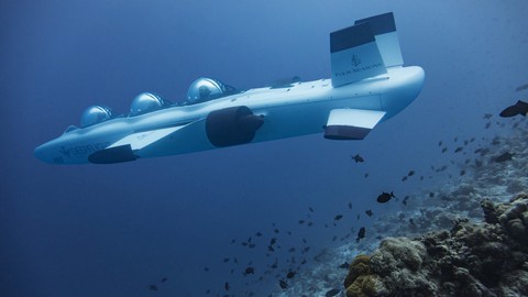 Đến Maldives ngồi tàu ngầm ngắm san hô - Ảnh 3. Đến Maldives ngồi tàu ngầm ngắm san hô - Ảnh 3.