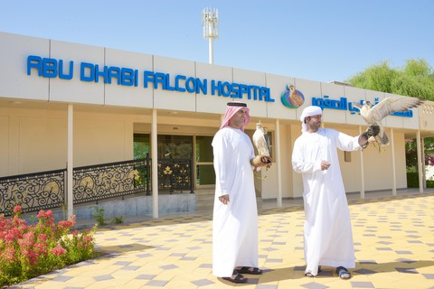 Những điều kỳ thú ở Abu Dhabi - Ảnh 7. Những điều kỳ thú ở Abu Dhabi - Ảnh 7.