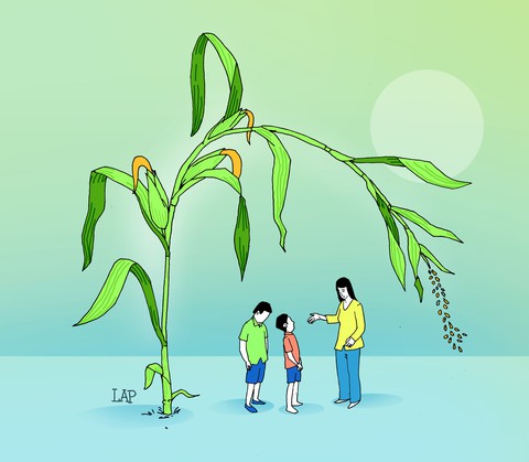 Giọt nước mắt trên rẫy bắp - Ảnh 1. Giọt nước mắt trên rẫy bắp - Ảnh 1.