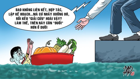 Giải cứu nông sản, rồi sao nữa? - Ảnh 1. Giải cứu nông sản, rồi sao nữa? - Ảnh 1.
