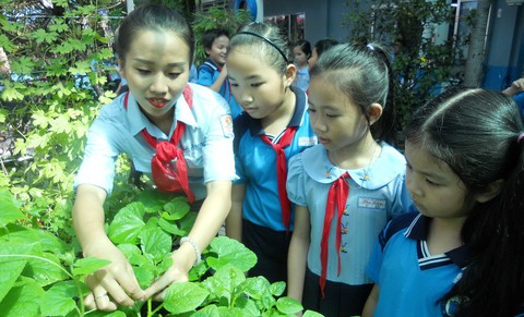Gia đình ông tổng, bà tổng phụ trách Đội - Ảnh 3. Gia đình ông tổng, bà tổng phụ trách Đội - Ảnh 3.