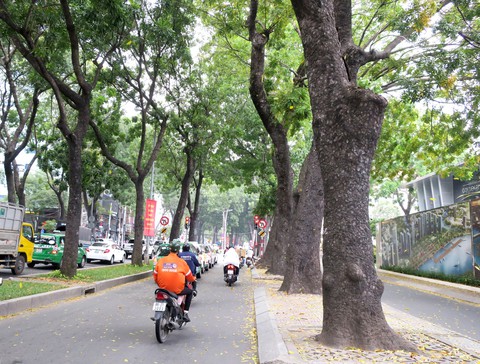 Sài Gòn chỉ hơn 300 năm tuổi một chút mà đã mất đi quá nhiều - Ảnh 1. Sài Gòn chỉ hơn 300 năm tuổi một chút mà đã mất đi quá nhiều - Ảnh 1.