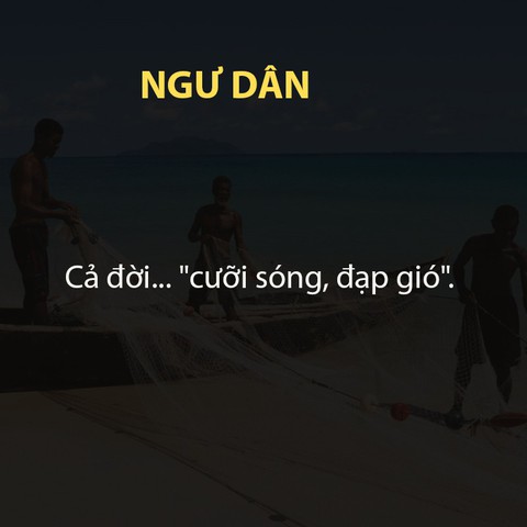 Ai bảo chăn trâu là khổ? - Ảnh 3. Ai bảo chăn trâu là khổ? - Ảnh 3.