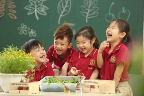 Vui như Trại hè Anh ngữ VAS - Ảnh 3. Vui như Trại hè Anh ngữ VAS - Ảnh 3.
