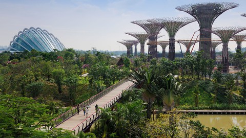 Người Singapore muốn mời hai ông Trump - Kim ăn cơm gà, cua xốt ớt... - Ảnh 1. Người Singapore muốn mời hai ông Trump - Kim ăn cơm gà, cua xốt ớt... - Ảnh 1.