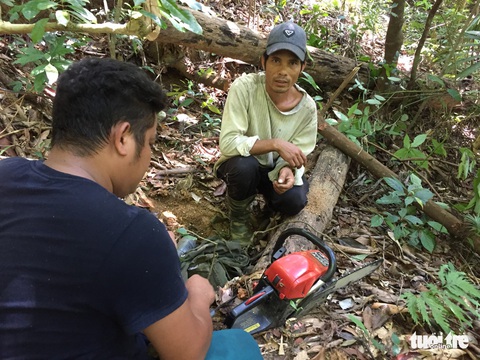 Rừng phòng hộ Sông Kôn bị cưa đổ ngay sát nách kiểm lâm - Ảnh 6. Rừng phòng hộ Sông Kôn bị cưa đổ ngay sát nách kiểm lâm - Ảnh 6.