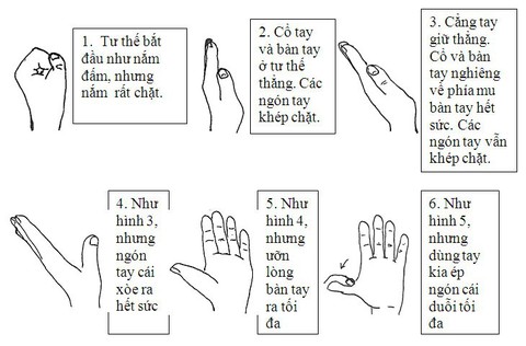 Phòng ngừa bệnh đau và co rút bàn tay, ngón tay - Ảnh 3. Phòng ngừa bệnh đau và co rút bàn tay, ngón tay - Ảnh 3.