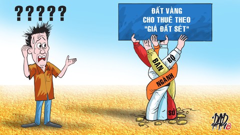 Để đất vàng đẻ ra vàng - Ảnh 1. Để đất vàng đẻ ra vàng - Ảnh 1.