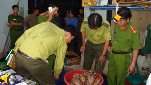 Quảng Nam phá đường dây buôn bán động vật hoang dã - Ảnh 1. Quảng Nam phá đường dây buôn bán động vật hoang dã - Ảnh 1.