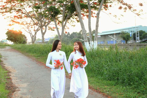 Con đường hoa phượng hút bạn trẻ ở Đồng Tháp - Ảnh 4.