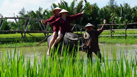 Biến nông thôn thành điểm đến hấp dẫn du khách - Ảnh 1. Biến nông thôn thành điểm đến hấp dẫn du khách - Ảnh 1.