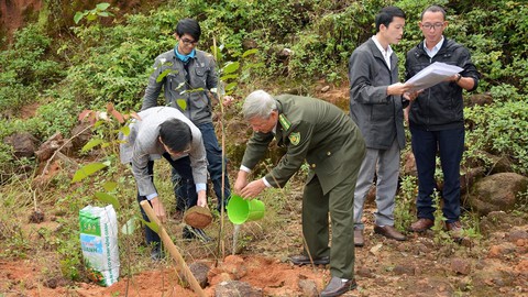 Sơn Trà - hòn ngọc luôn trong trạng thái... báo động - Ảnh 3. Sơn Trà - hòn ngọc luôn trong trạng thái... báo động - Ảnh 3.
