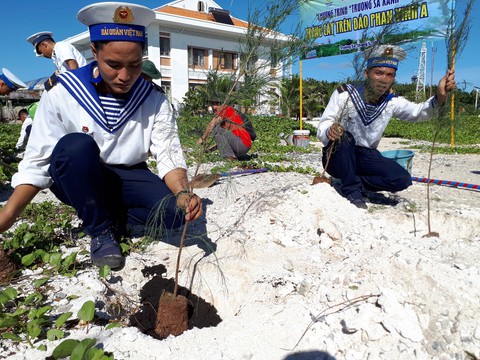 Để Trường Sa thêm xanh - Ảnh 6. Để Trường Sa thêm xanh - Ảnh 6.